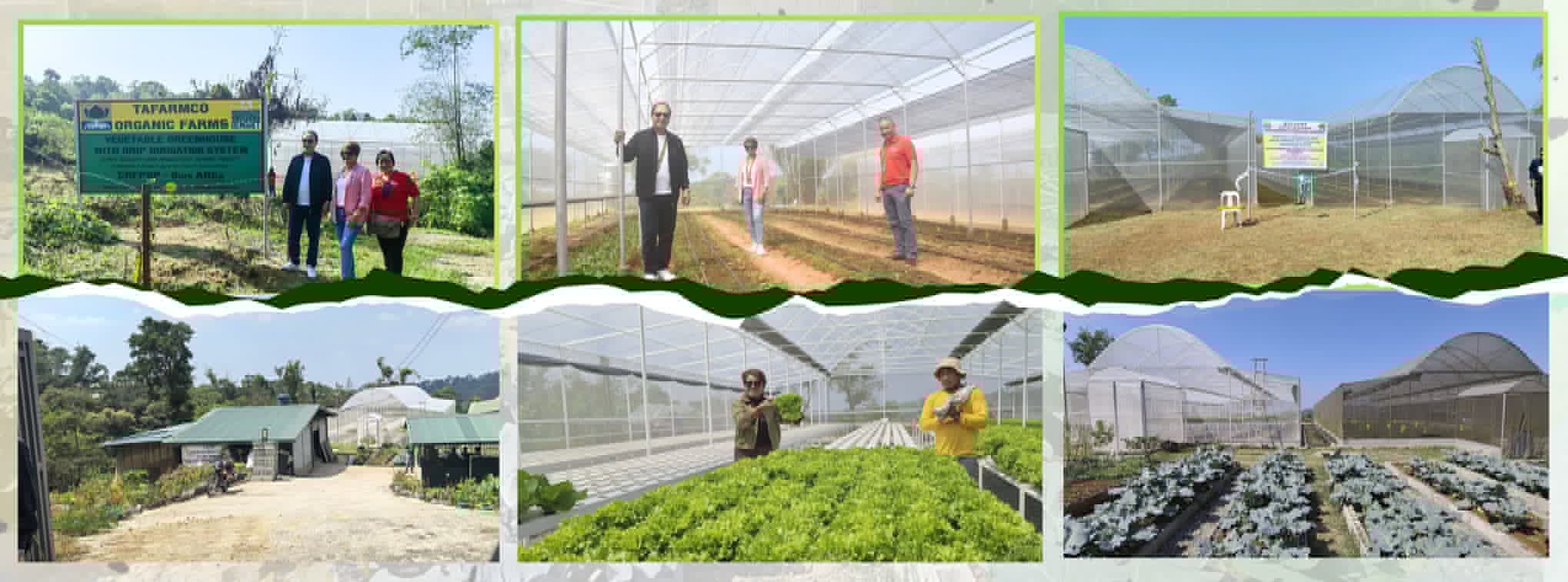 TAFARMCO Learning Site for Agriculture